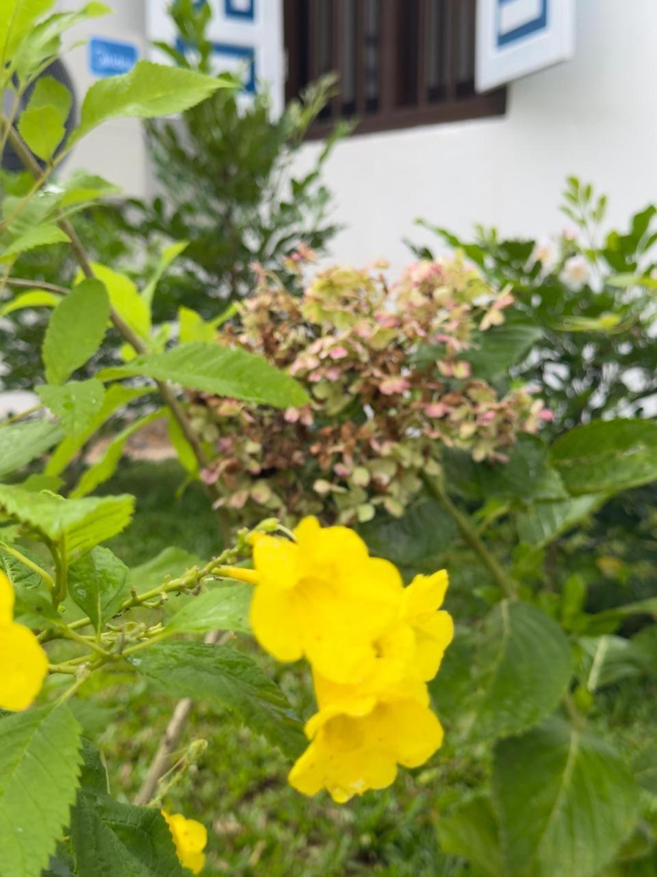 The Residence 벤토타 외부 사진