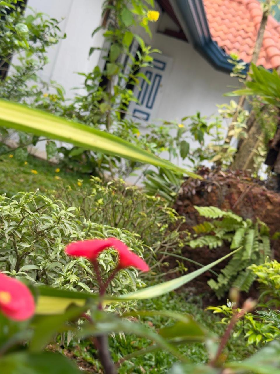 The Residence 벤토타 외부 사진